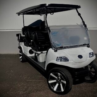 2025 EVOLUTION CARRIER 6 PLUS LI-ION CART
